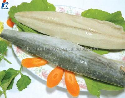 China Frozen PBO IQF Frozen Seafood Spanish Mackerel Fillet on Sale for sale