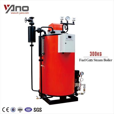 China VERTICAL factory direct sale for dry cleaning machine price 300Kg 400Kg 500Kg natural gas steam boiler for sale