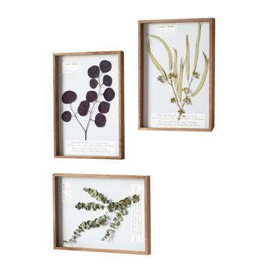 China Europe Flower Leaf Specimen Frame DIY Cut Picture Frame Creative Dry Wholesale Square Paper Frame for sale