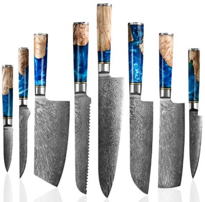 China Durable Damascus Steel Kitchen Knife Set 67 Layer Core Forged Professional Kitchen Knives for sale