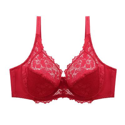 China Best Price High Quality Antibacterial Push Up Bra Women Lacy Thin Bra Beautiful BIG SIZE for sale