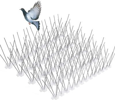 China Durable 50cm 40 PC Base Unmounted Spikes And 304 Stainless Steel Bird Spikes for sale