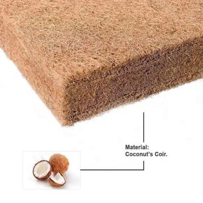 China Massage Mattress Cheap Price Comfort Rubberized Coconut Coir Memory Foam Mattress for sale