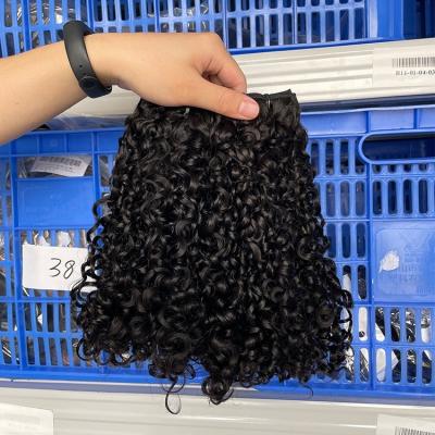 China Wholesale Cheap Small Curly Hair Supplier, Pixie Curly Bundles Vendors Cuticle Aligned, Vietnamese Virgin Hair Double Drawn Unprocessed for sale