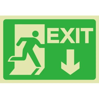 China Glow In The Dark Exit Sign Verde Hardware de montagem incluído para instalação simples à venda