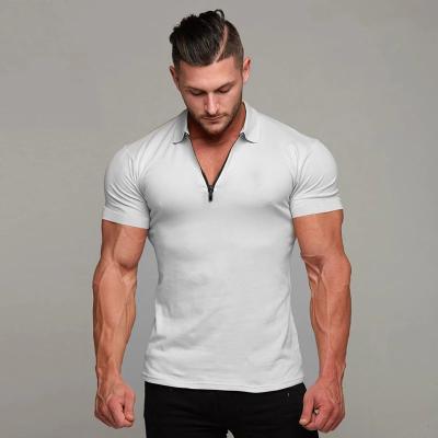 China Breathable Slim Fit Male Cotton Short Sleeve Polo Shirt Men Business Fitness Gym Bodybuilding Workout Running Polo Shirt for sale