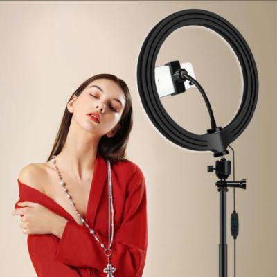 China Wholesale Dimmable Ring Light /Upgraded Tripod Stand Selfie Ring Light 10 Inch 14 Inch 18 Inch Phone Selfie Led Big Circle Selfie Ring Light With Tripod Stand for sale