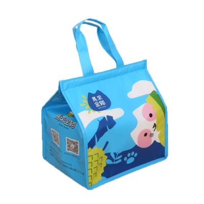 China Luxury Insulated Custom Printed Insulated Thermal Cooler Bags With Aluminum Foil for sale