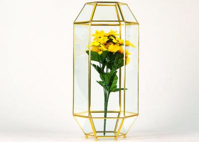 China Polyhedral glass greenhouse cover plant European dust cover window display geometric glass decoration box for sale