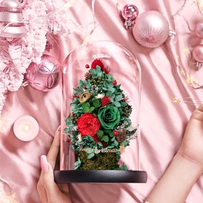 China Christmas Wedding Anniversary R359 2021 Design Christmas Tree Dome Gift Box New Glass Gift Set Preserved Flower Gift Box à venda