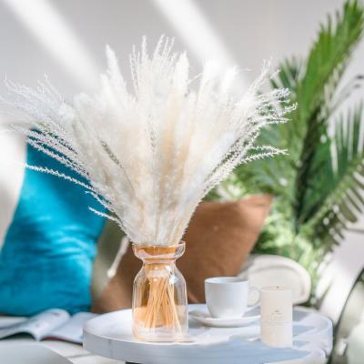 Κίνα 2022 Package L173 Amazon Durable Hot Selling Pampas Grass Dry Pampas Grass Colorful Natural Natural Pampas Grass For Wedding Home Decoration προς πώληση