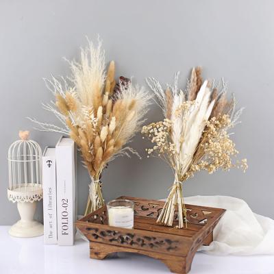 Κίνα R134 Natural Dried Flower and Plant Flower Decoration Wedding Home Decoration Dried Pampas Grass Bouquet προς πώληση