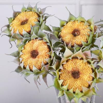 China Wholesale Sun Silk Home Flower Group Fabric Wall Decoration Wedding Fashion Craft M142 Artificial Sunflower Silk Sunflower Bouquet zu verkaufen