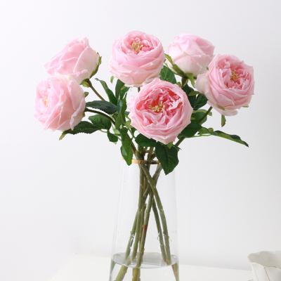 Cina Real Success Rose Flower Real Touch Blushing Artificial Rose Artificial Flowers from Touch R118 Amazon in vendita