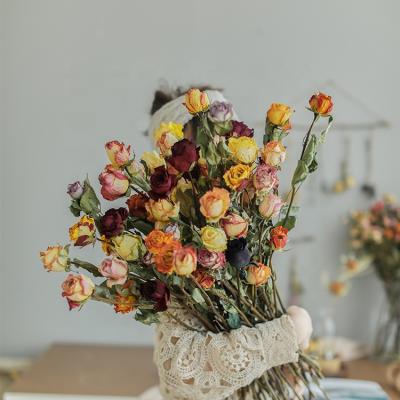 China Suppliers Natural Wholesale Decor Touch M008 Dry Flower Lasting Forever Roses Real Natural Dried Flower Dried Flower Bouquet For Flower Arrangement for sale