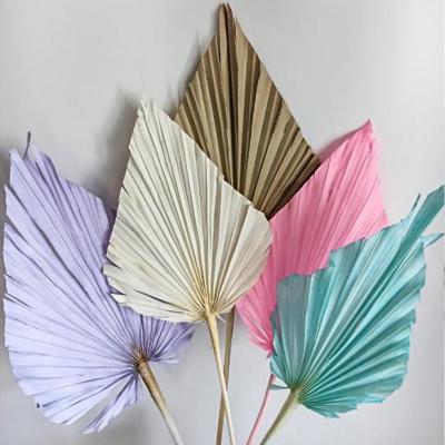 Китай R051 natural flowers and plants palm dry leaf wedding home decoration dried natural palm leaves flowers продается