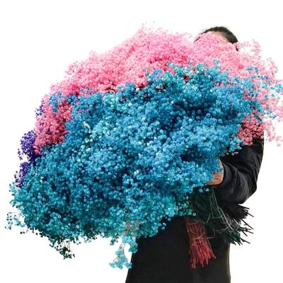 China Natural Flowers and Plants R053 Dried Flower Supplier Preserved Flower Bouquet Babies Breath Dried Gypsophila Dried Flower for sale