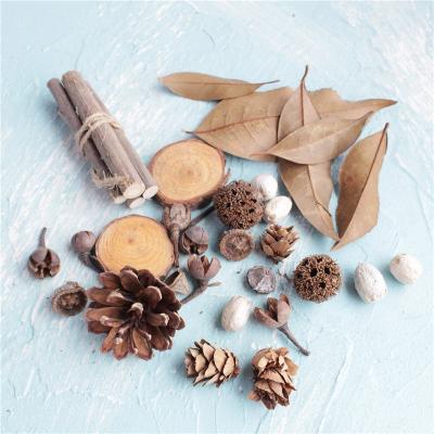 China L176 Long Lasting High Quality Naturally Dried Flowers Dried Fruit Materials For Making Scented Candles Braiding Photo Album for sale