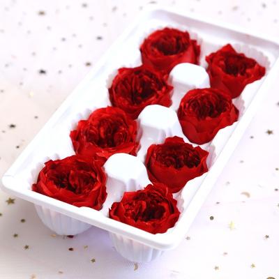 Китай L199 Grade B 8 Pcs 4-5Cm Long Lasting Colorful Luxury Real Roses Preserved Fresh Flower Wholesale For Handmade Gift продается