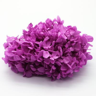 China R369 Christmas Wedding Anniversary Immortal Hydrangea Flowers Preserved Flower Arrangement Decorative Hydrangea Flowers à venda