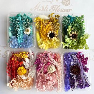 China M81 Natural Touch Held Mixed Diy Flowers Craft Decoration Color Box Enternal Dry Plants Flower Diy Accessories Jewelry Frame Dry Flowers à venda