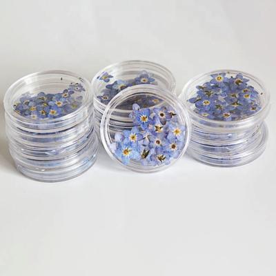 中国 M001 Beautiful Resin Colorful Floral Jewelry Nail Dried Flowers Stickers Forget I Unpressed Flower Dried Pressed Flowers For Nail Art Decoration 販売のため