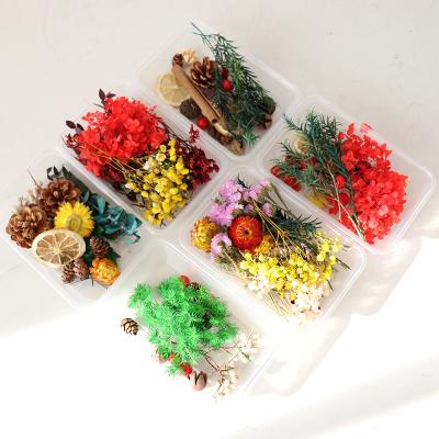 China Natural flowers and plants R059 dried flower box dried flowers for candles scented luxury craft kit à venda