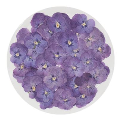 China 2021 Hot Selling Diy Material 100% New Arrival N073 Garden Wedding Party Natural Dried Purple Pansy Pressed Flowers Pressed Pansy Dried Flowers à venda