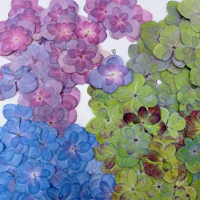 China Garden Wedding Anniversary N069 Amazon Success Factory Price High Quality Handmade Materials Dried Flower Specimen Dried Flowers à venda