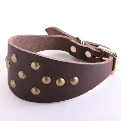 China Wholesale Custom Dog Collars Buckle To Whip Genuine Leather Studded Wide Martingale Whippet Greyhound Dog Collar for sale