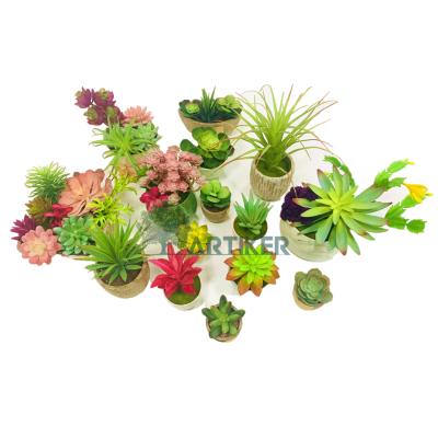 China Indoor&Outdoor Decorative Hot Wholesale Floral Artificial Succulents Mini Garden Amazon Pot With Recycling Pulp Pot for sale