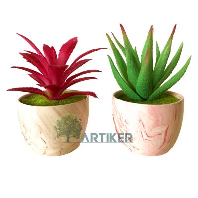 China Hot Wholesale Indoor Decorative Artificial Succulent Plants from Amazon - Pack of 14 Artificial Succulent Plants - Without Pots Faux Succulents for sale