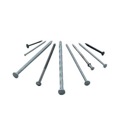 China Flat Professional Manufacturer  carbon steel nail electro galvanized spiral shank concrete nails angular spiral shank steel nail for sale