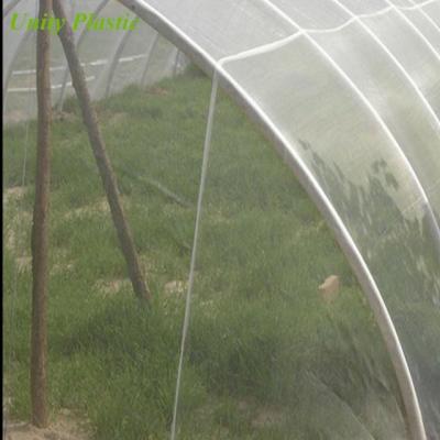 China 100% New HDPE and Anti Wind Anti UV Net Anti Insect Net Mesh Netting for Greenhouse for sale