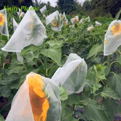 China For Greenhouse or Garden or China Agricultural Greenhouse Anti Insect Netting /Agriculture Netting With Best Price for sale