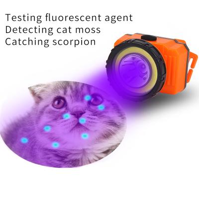 China Outdoor UV Medical Headlight with White COB Flashlight for Examining Fluorescent Agent Picking Ear Detecting Cat Moss Catching Scorpion for sale