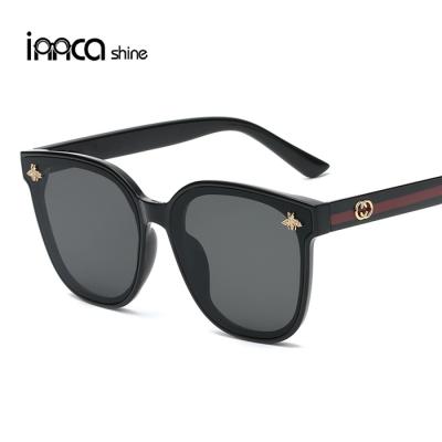 China Hot New Eyewear Trade Tour Sunglasses Brand Fashion Bee Fashionable Sunglasses for sale