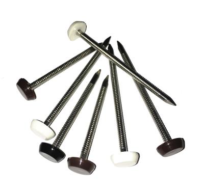 China Plastic Head Stainless Steel Nail with ring shank for sale