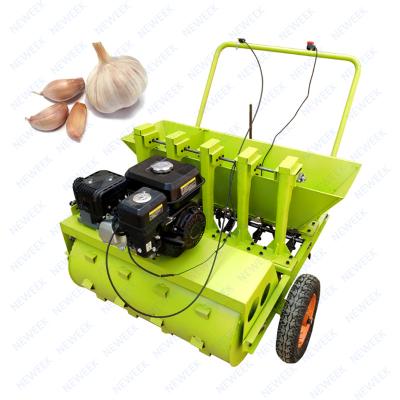 China agricultural & NEWEEK Equipment Garlic Seed Drill Machine Garlic Planter 4 Rows Hand Planter For Garlic for sale