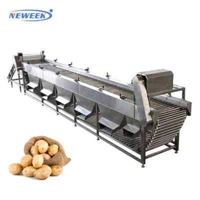 China food & Beverage Factory NEWEEK Automatic Fruit and Vegetable Orange Onion Grading Dimension Sorting Potato Grading Machine for sale