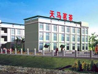 Verified China supplier - Fujian Longyan Tianma Tea Co., Ltd.