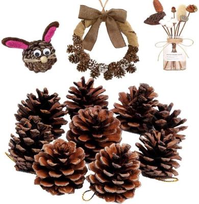 China Home Decoration / Customized Christmas Decoration Supplies Factory Wholesale Christmas Decoration Glitter Pinecones for sale