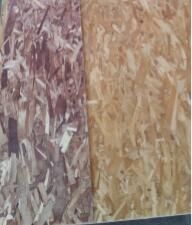 China OSB3 (Oriented Strand Board), we have one line of OSB product, which can make size 4*8, thickness from 6MM to 30MM for sale