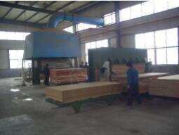 China Blockboard, Paulownia/poplar/Indonesia Bare core, faced can be each veneer, or we faced with MDF, Chipboard; Glue MR, E for sale