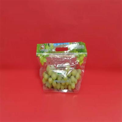 China Disposable transparent plastic bag stand up zipper packaging bags opp laminated cpp plastic fruit bag with hang hole for sale