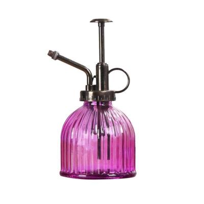 China Durable Purple Cans For Bottle Garden Tools Antique Glass Water Cans Watering Jar for sale