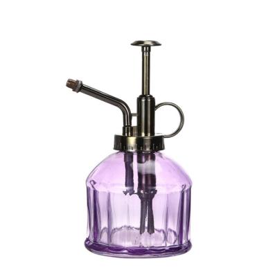 China Watering Flowers Wholesale 200ml High Quality Mini Indoor Glass Watering Can Spray Bottle With Pump for sale