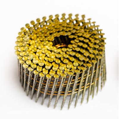 China Hot-selling High Quality Silver-Coated Galvanized Flat And Roof Coil Nails for sale