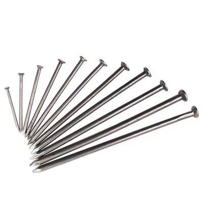 China Factory direct sales low cost flat stainless electro galvanized steel wire coil nails for sale