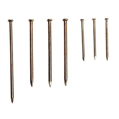 China Chinese Manufacturer Bulk Steel Stainless Steel Wire Capping Nails Flat Zinc Nail Steel for sale